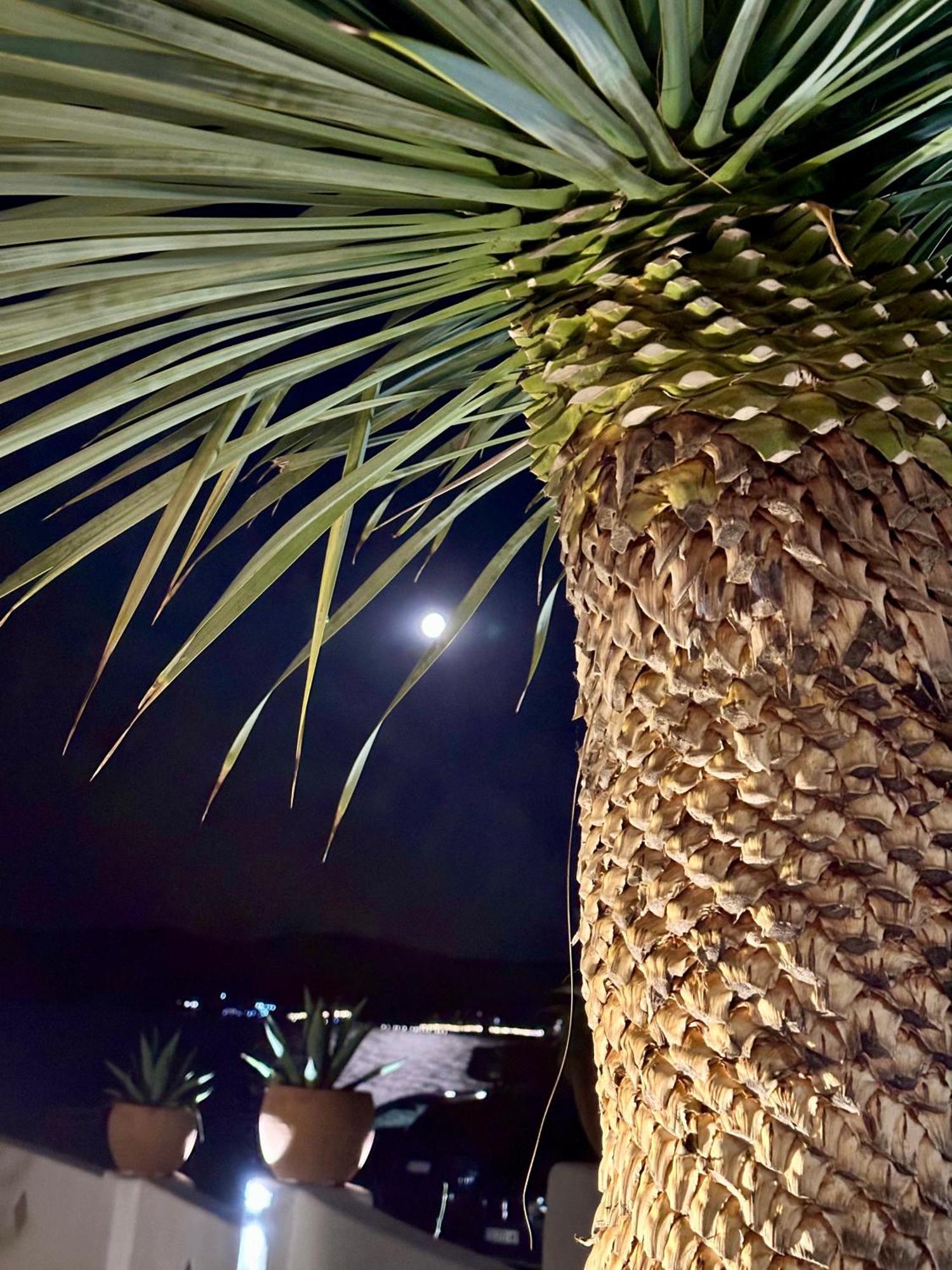 الشقق الفندقية سوزوبولفي  Casa De Oro Alma المظهر الخارجي الصورة
